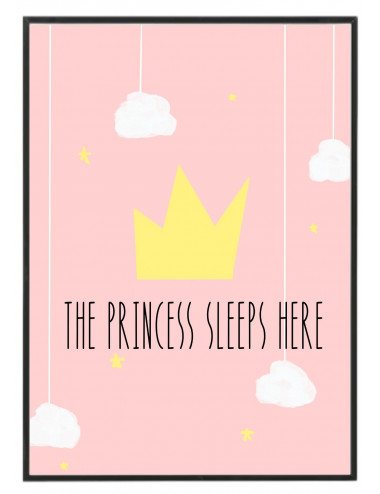 Cuadro "The Princess sleeps...