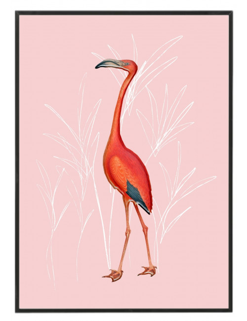 Cuadro "Pink Flamingo"