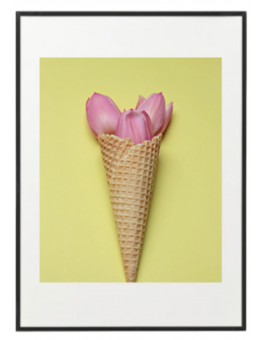 Fotografía "Tulipanes rosas...