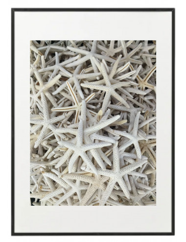 Fotografía "White starfish"