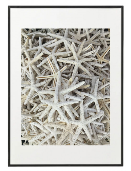 Fotografía "White starfish"
