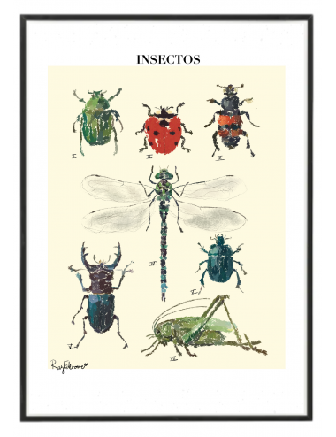 Cuadro "Vintage style insects"