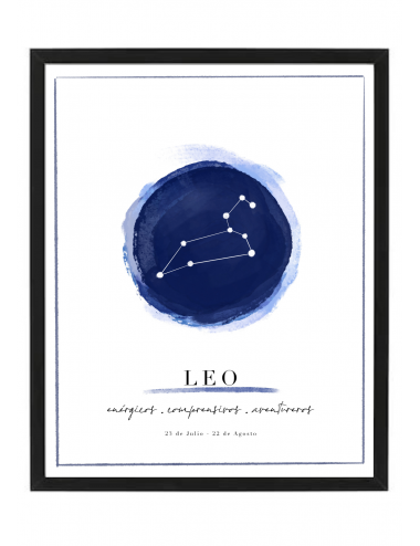 Cuadro "Constelación LEO"
