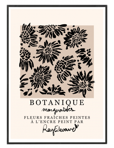 Cuadro "Botanique Marguerites"